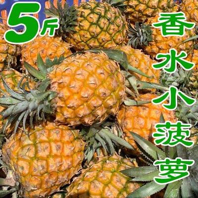 脆甜新鲜香水迷你菠萝现摘当季水果凤梨胜泰国小菠萝5斤送刀除味