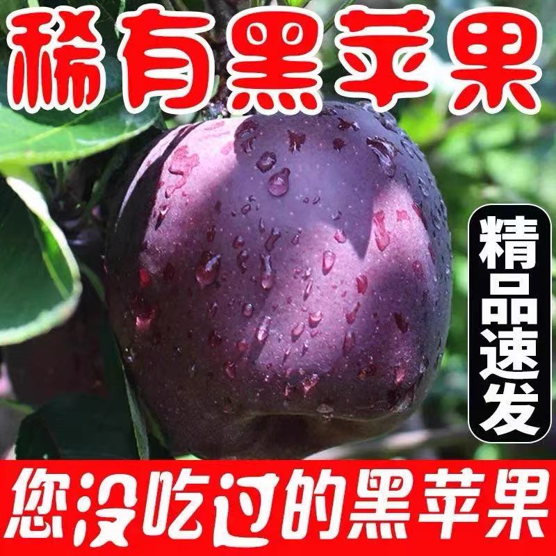 云南黑卡苹果黑钻苹果黑色纯甜苹果新水果鲜应季水果产自昭通图片