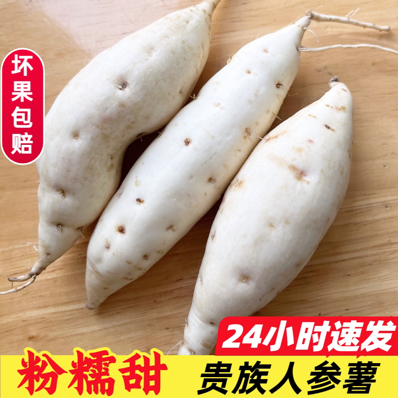 新鲜现挖白皮人参薯板栗甜心红薯番薯