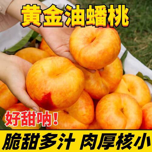 黄金油蟠桃新鲜水果应当季整箱现摘奶油黄蟠桃脆甜彩虹油桃子包邮