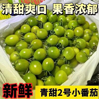 正宗清甜2号小番茄山东潍坊寿光青甜西红柿纯甜番茄现摘顺丰京东