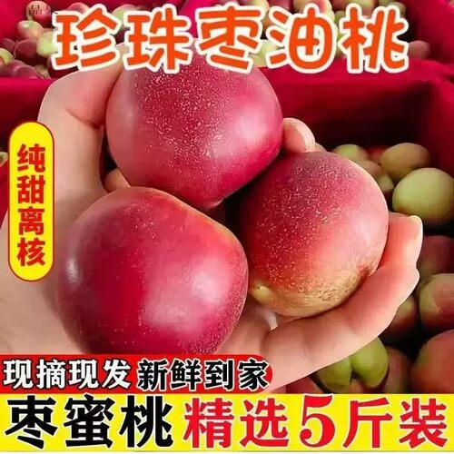 头茬珍珠枣油桃枣味小蜜桃山西孕妇儿童当季新鲜水果整箱顺丰包邮