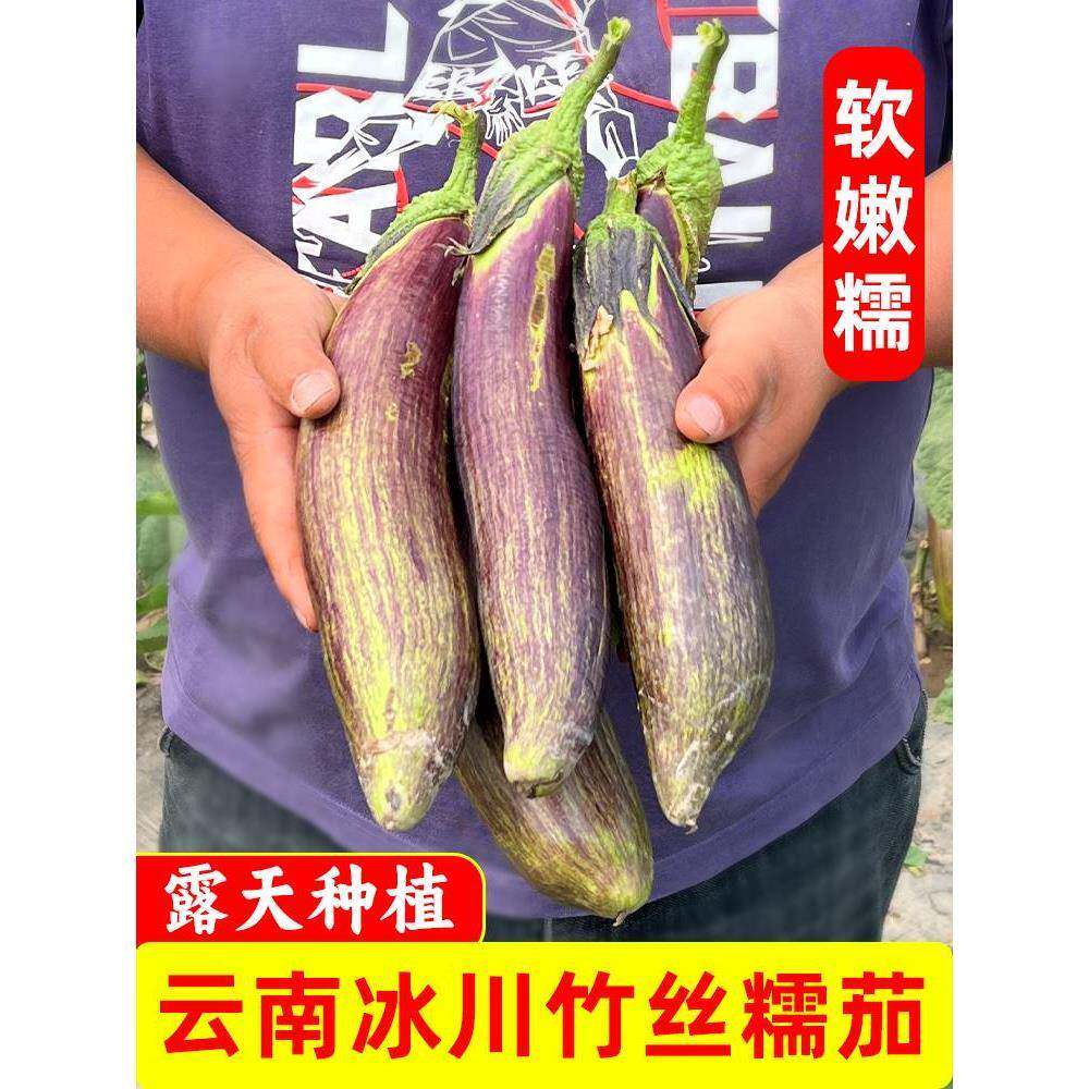 云南冰川茄子新鲜本地老品种茄子竹丝糯米茄子烧烤茄子面包茄蔬菜