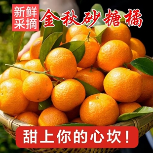 广西金秋砂糖橘正宗桂林无籽沙糖桔子整箱新鲜采摘应季水果柑子