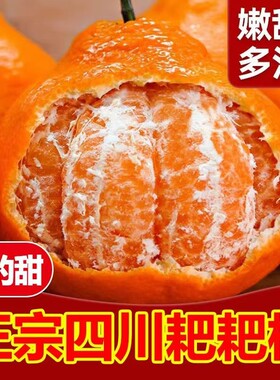 四川耙耙柑应当季新鲜水果整箱9斤包邮粑粑柑丑桔大橘子皇帝产地
