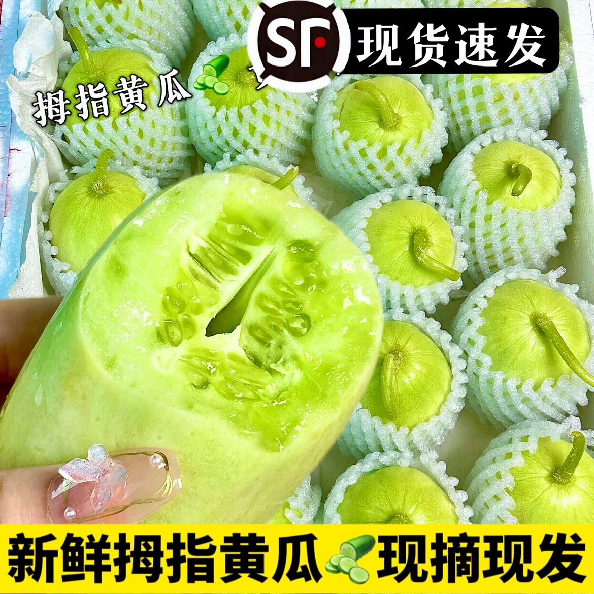 现摘玉女黄瓜新鲜水果拇指小黄瓜5斤脆甜小青瓜沙拉生吃蔬菜