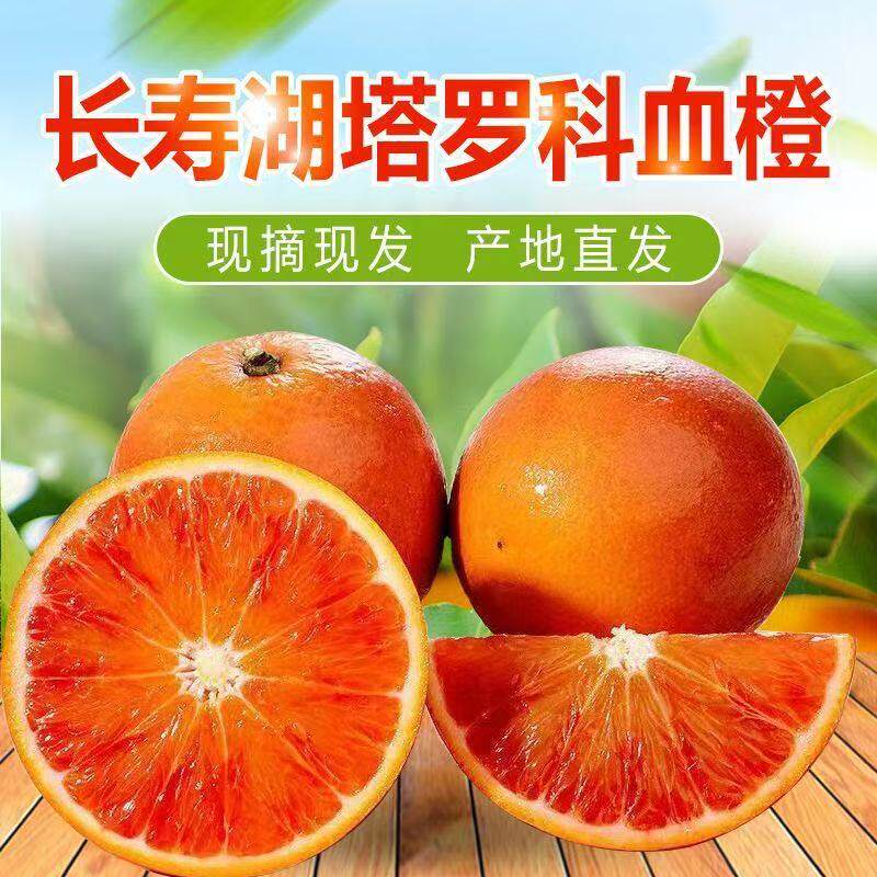 长寿湖现摘塔罗科血橙新鲜美味自家果园现摘时令水果果园直发