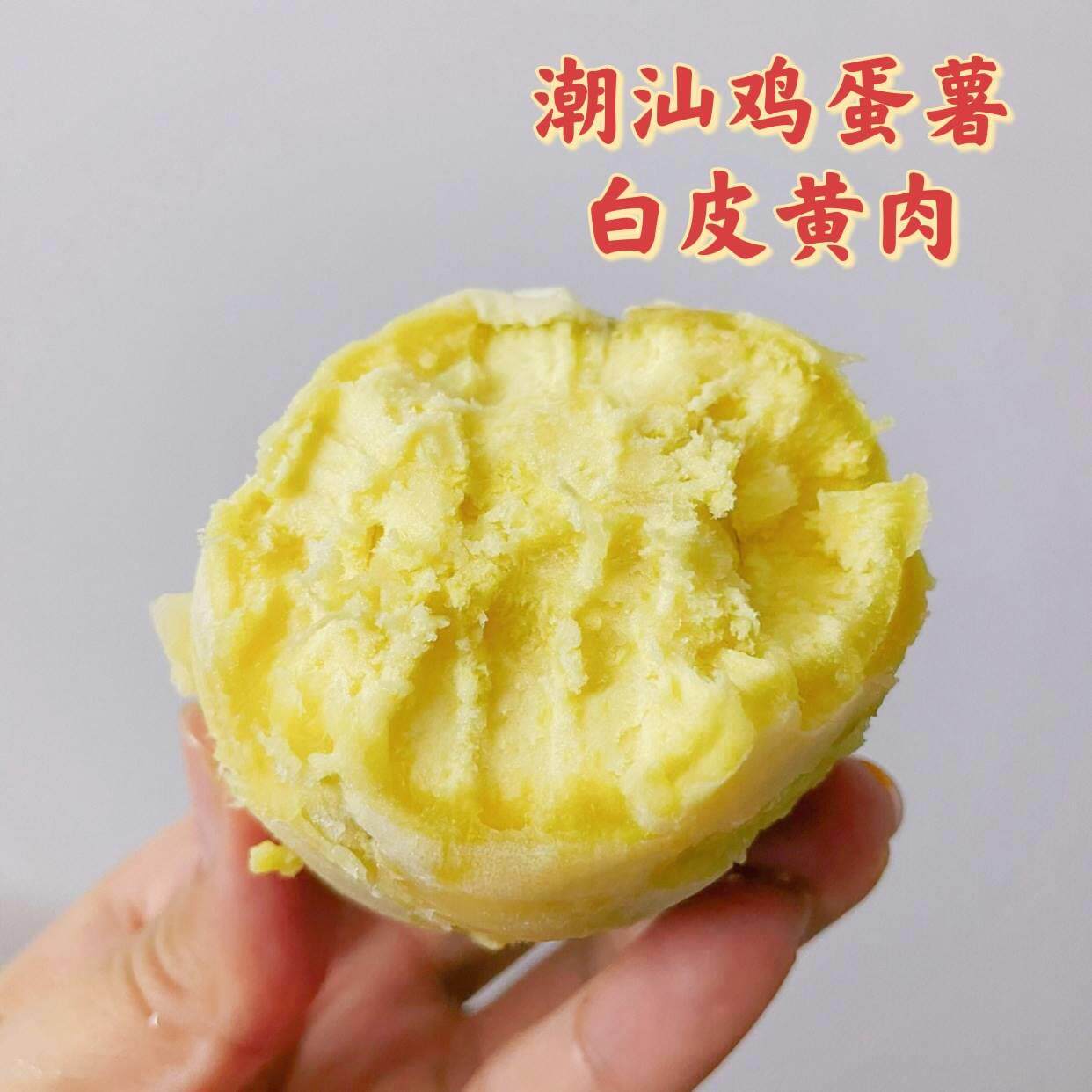 潮汕自家种植沙地白皮鸡粉糯甜地瓜新鲜现挖板栗番薯红肉白肉包邮