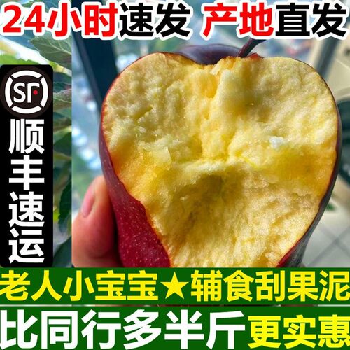 甘肃天水花牛苹果粉面沙脆甜宝宝