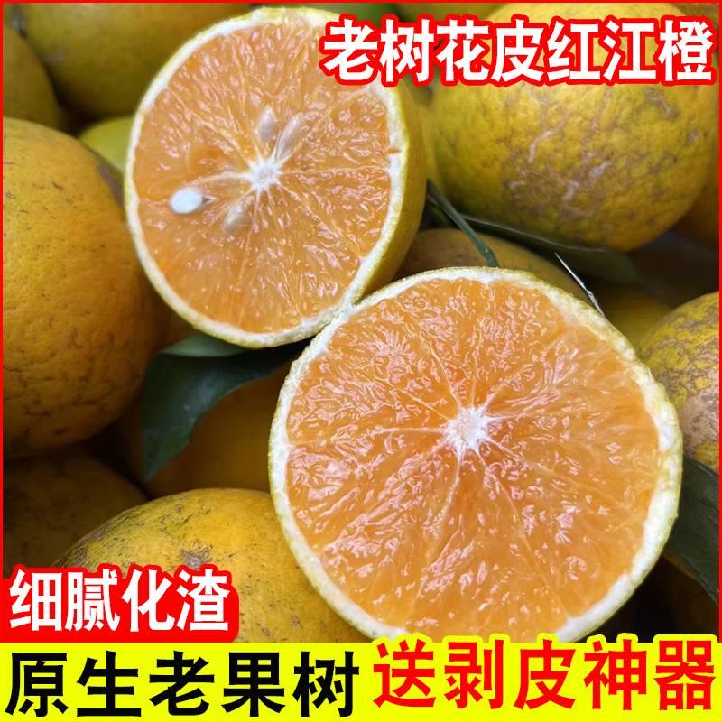 广西花皮红江橙甜心红橙子手剥薄皮花斑丑橙新鲜孕妇水果10斤
