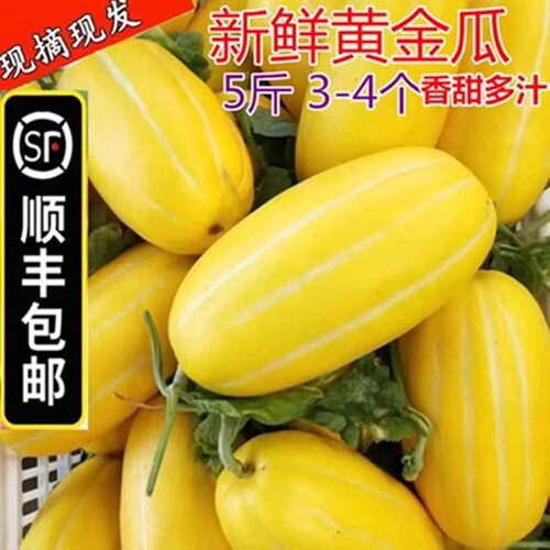 【顺丰包邮】5斤新鲜香瓜脆甜黄金玉瓜黄皮条纹蜜瓜白瓜应季水果