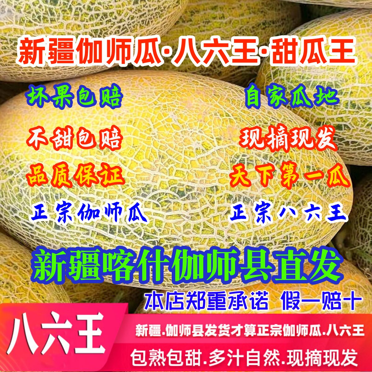 新疆特产正宗哈密瓜八六王黄皮全网纹绿皮伽师瓜应季特技水果新鲜