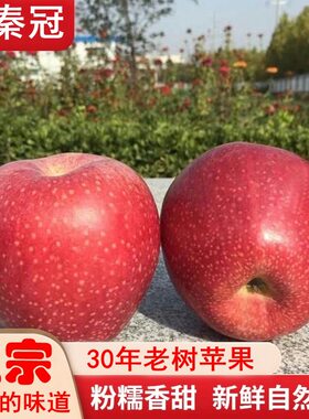 【需要放粉面】陕西秦冠苹果可脆可粉老树新鲜水果丑苹果冰糖心甜