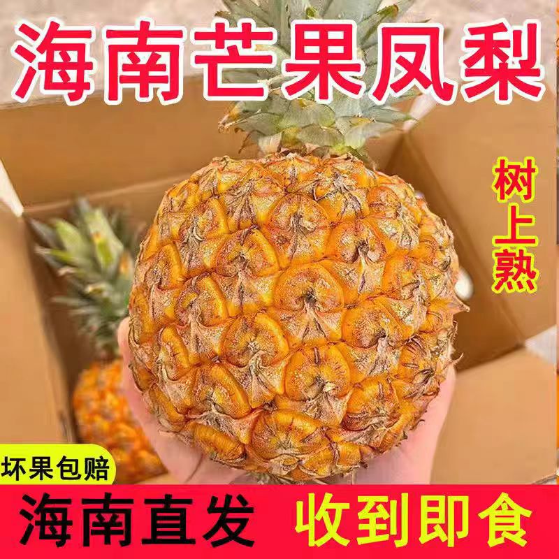 rte其他ho/包美金芒盒当图片