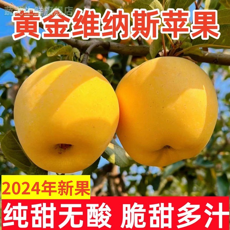 正宗维纳斯黄金苹果新鲜水果当季整箱孕妇山东脆甜奶油糖心丑苹果,水产肉类/新鲜蔬果/熟食,苹果,淘宝优惠券,粉丝福利购,淘宝优惠卷