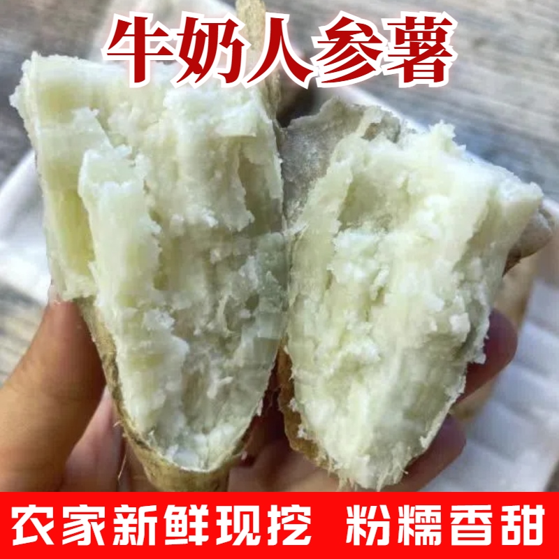 正宗白皮人参薯新鲜粉面番薯5斤牛奶白心地瓜白瓤沙地板栗红薯