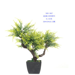 仿真树叶子盆栽小松柏植物侧柏叶崖柏柏树叶落地室内外装饰批发