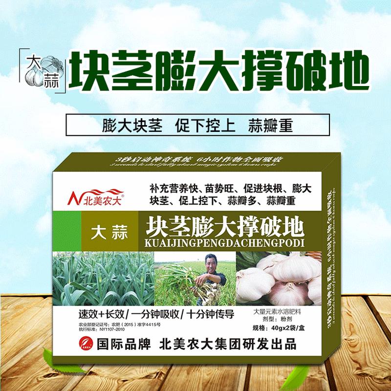 大蒜块茎膨大撑破多叶 补充营养苗势旺促进块根膨大蒜瓣地面肥