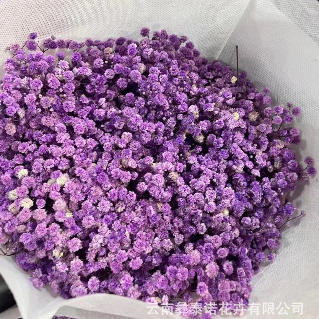 永生花满天星花束搭配云南工厂基地满天星现货批发小花束