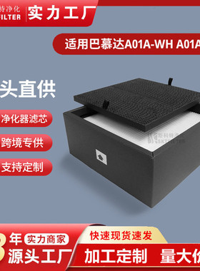 适用BALMUDA Pure巴慕达A01A-WH A01A-P100空气净化器滤网滤芯