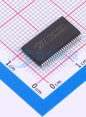 LCD驱动 TM1621 SSOP-48-300mil 原装正品 电子元器件配单