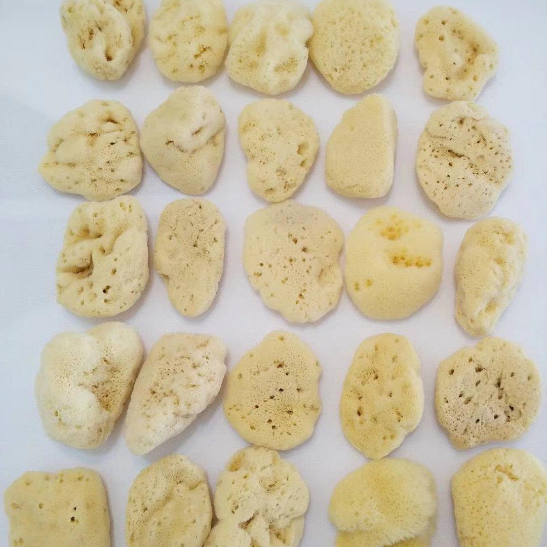 超丑丑海绵甩卖希腊天然沐浴球蜂窝海藻绵洗泥膜洗脸洗澡