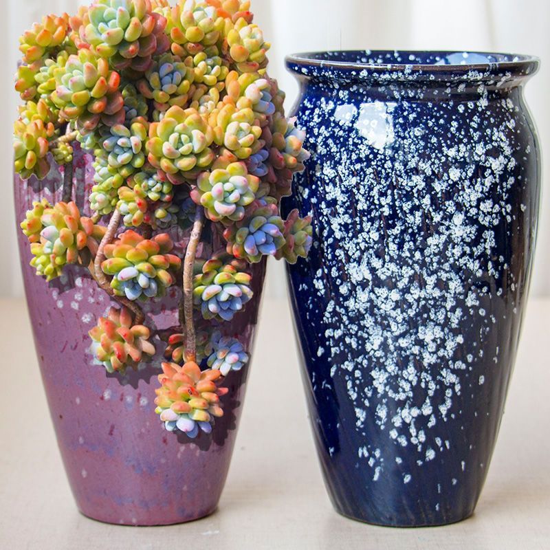 高切口悬崖法师老桩多肉植物绿萝花盆透气粗陶紫砂陶瓷大口径弘智