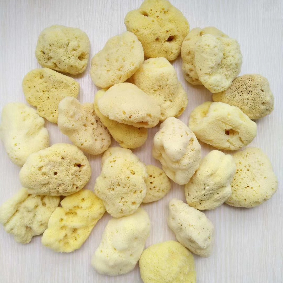 超丑丑海绵甩卖希腊洗澡沐浴球蜂窝海藻绵洗泥膜洗脸天然