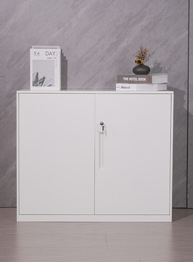 钢制办公铁皮文件柜矮柜办公室资料柜拆装薄边储物对开柜带锁白色