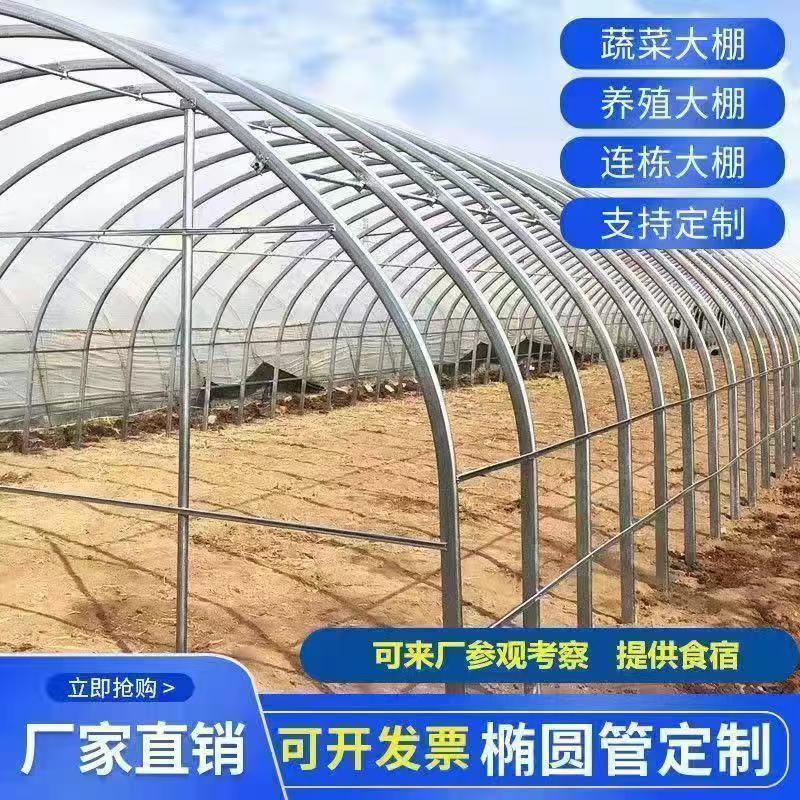温室钢架大棚骨架种植拱棚养殖棚冷暖连体栋棚镀锌圆椭圆管全整套