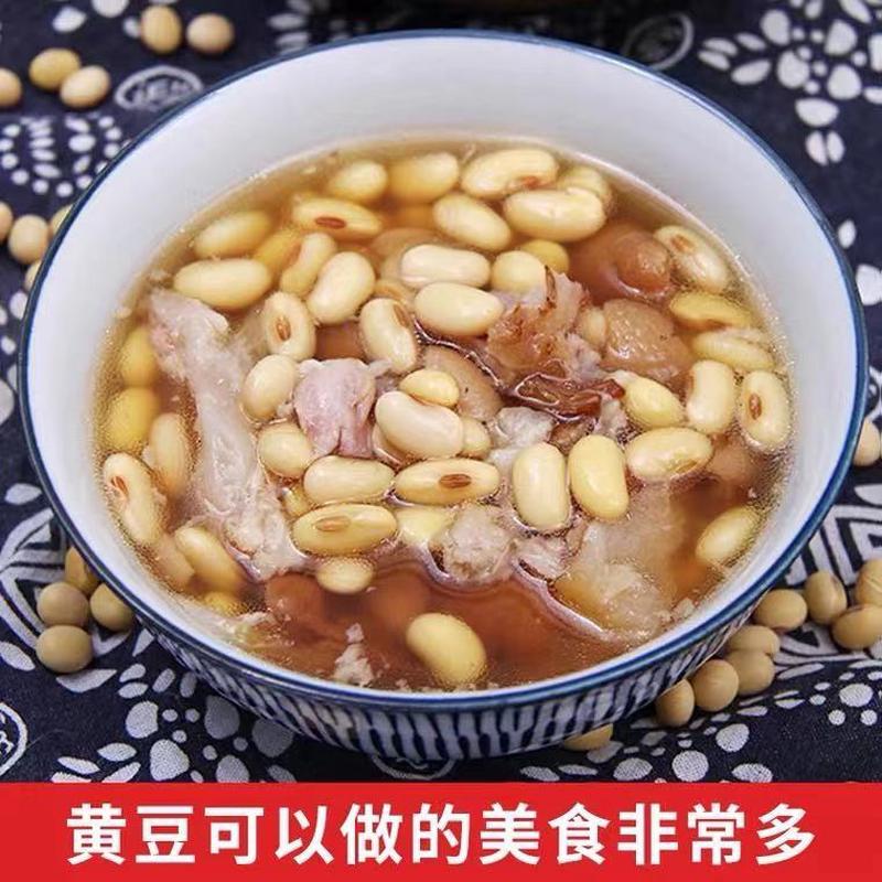 东北黑龙江黄豆农家自产大黄豆五谷杂粮豆类豆浆生豆芽黄豆