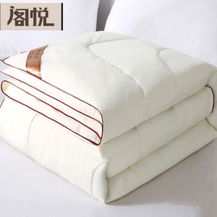 双人秋 春秋空调夏凉冬被冬季 bb4c批发四季 被子被芯丝棉轻薄款