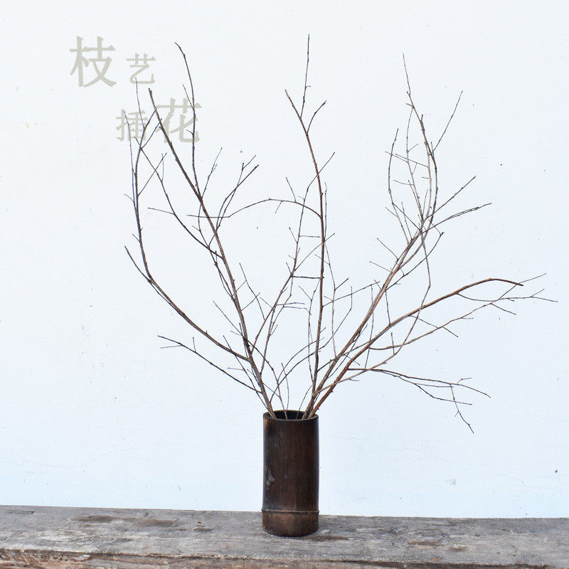 03kn批发天然干枝禅意树枝装饰素雅简约客厅橱窗落地文艺枯枝花瓶