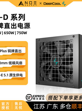 九州风神 PL550D PL650D PL750D PL800D ATX3.1 铜牌直出电源