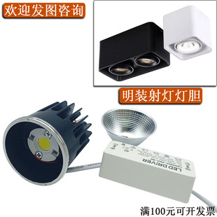 无主灯LED灯胆照明吸顶式内胆斗胆灯客厅格栅灯灯珠明装射灯灯芯