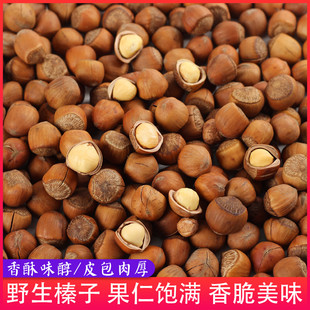 东北野生铁岭开口榛子生的小榛子生榛子山榛子野山开原特产原源香