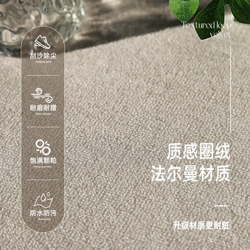 入户门地垫高级感进门门垫家用门口耐脏免洗垫子防滑耐磨玄关地毯,居家布艺,入户地垫,淘宝优惠券,粉丝福利购,淘宝优惠卷