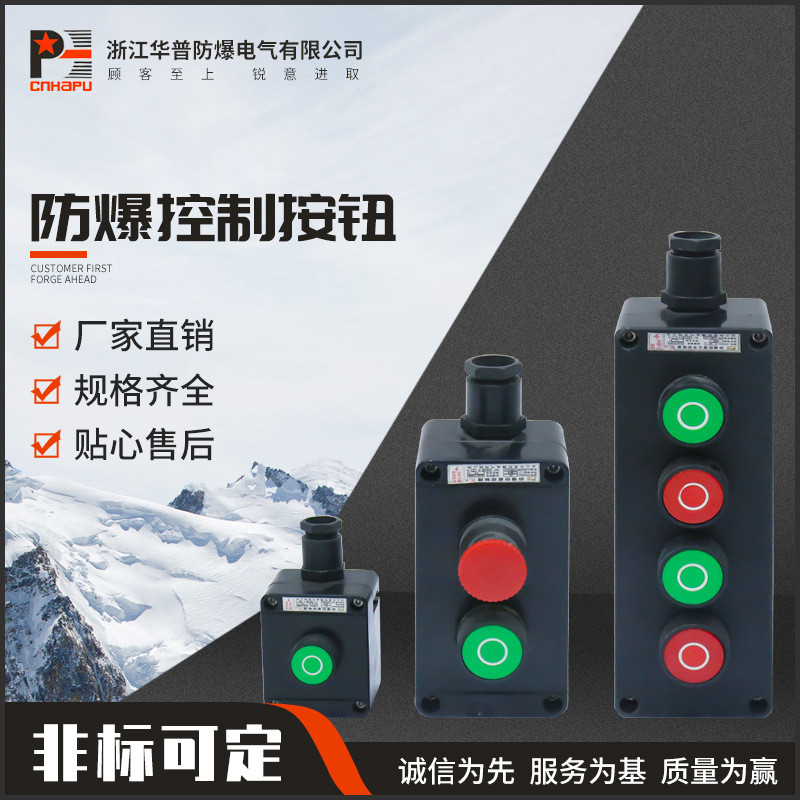 防爆防腐控制按钮控制箱 防爆电机启停按钮箱 防爆接线按钮控制箱