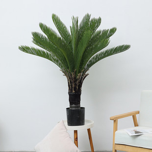 散尾葵仿真树家居室内装饰摆件棕榈葵大型龟背叶假绿植盆栽批发