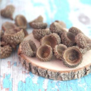 装饰天然橡子橡果森系手工干花挂件橡果壳圣诞布景幼儿园环创摆件