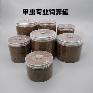 甲虫饲养罐独角仙成虫幼虫饲养盒大兜虫锹甲锹形虫爬宠昆虫饲养盒