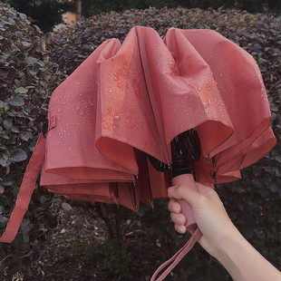 遇水开花雨伞高颜值自动折叠伞晴雨两用小巧便携抗风暴加固短柄伞