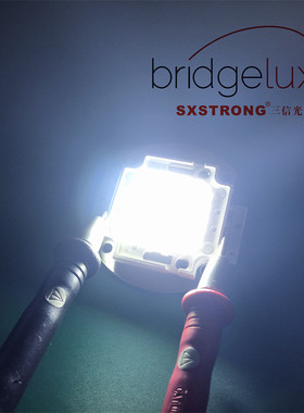 厂家批发60w白光大功率led集成灯珠高品质cob瑞芯片路灯普光源厂