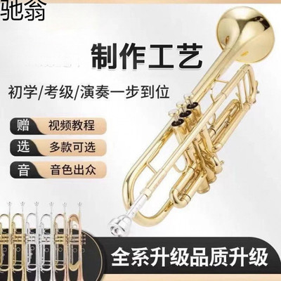 SHI键型豪诺小号YTR-2335s降B调初学考级专业演奏乐器专用