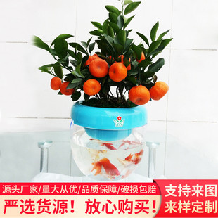 透明塑料花盆创意双层养殖花盆绿萝盆栽懒人圆形大号批发