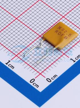 自恢复保险丝 RGEF250 插件 16V 2.5A 原装正品 电子元器件配单