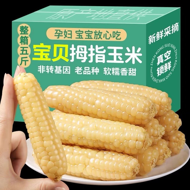 新货5斤云南西双版纳拇指小玉米新鲜香糯小手指迷你儿童玉米软糯