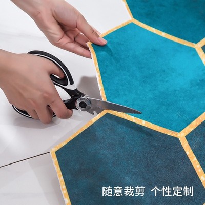 入户门地垫地毯门垫进门pvc防滑脚垫可裁剪擦洗家用网红门厅皮革