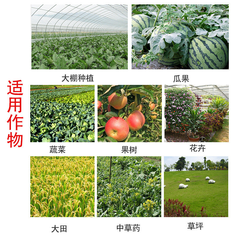 速生根长势旺冲果多与众不同水溶肥 瓜果蔬菜果树草莓番茄座施肥