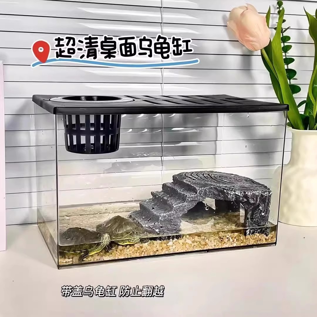 鱼缸水族箱塑料带盖生态缸乌龟缸家用客厅透明小型茶桌桌面造景缸